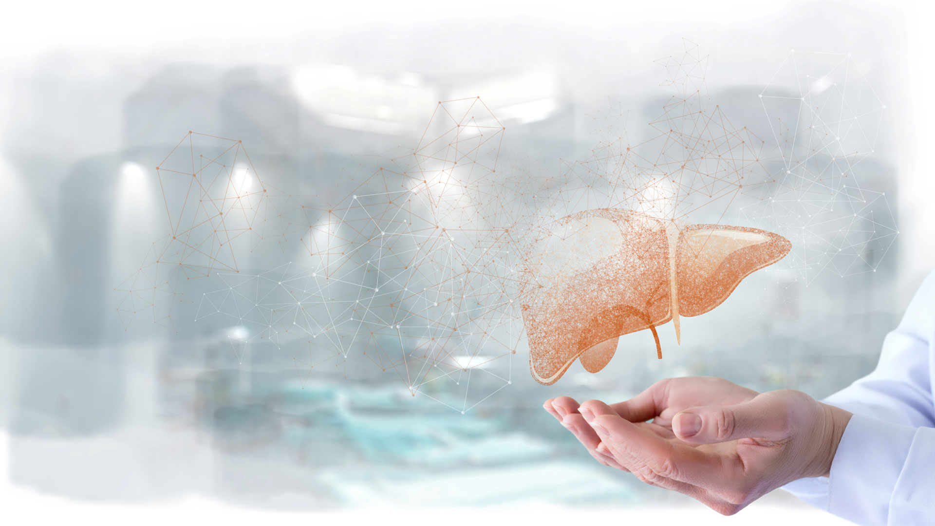 Doctor holding a digital 3D illustration of a liver with network connections, symbolizing medical data analysis.